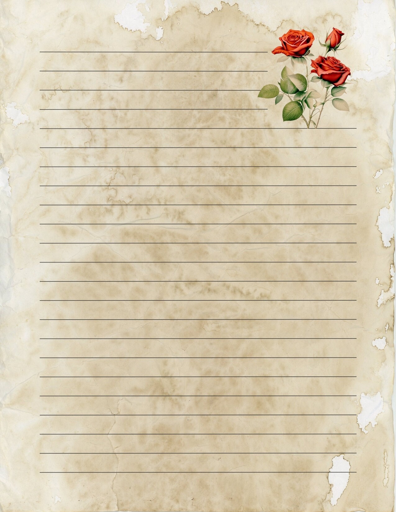 Retro Vintage Design Parchment Unlined and Lined Writing