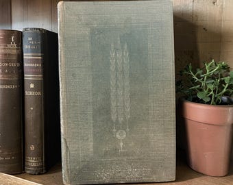 Antique Treasure Island Book Robert Louis Stevenson Cassell Victorian Era