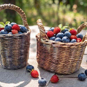 Mini Woven Berry Basket Set of 2, Small Paper Vine Wicker Baskets with Handles, Eco Friendly Summer Garden Decor