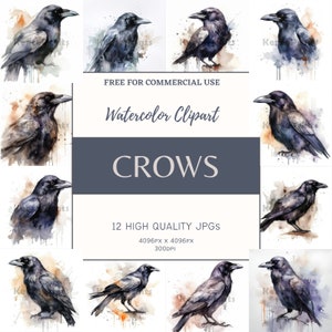 Crow Clipart Watercolor - 12 Unique High Resolution JPGs - Crow Crafts - Digital Download - Crow Watercolor - Watercolor Amazing Crow JPEG