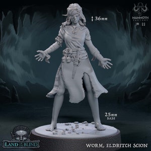 May include: A grey, unpainted miniature figurine of a female figure wearing a long, tattered robe and blindfold. The figure is standing on a 25 mm base with a rocky texture. The figure is 36 mm tall. The text "WORM, ELDRITCH SCION" is printed below the base.