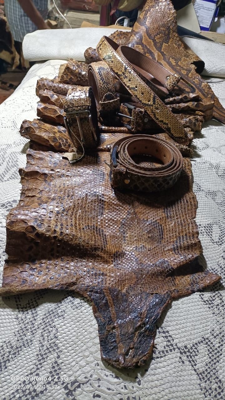 Snake Skin Belt Real Snake Leather Handmade Gift Unisex - Etsy