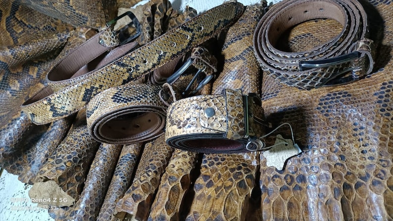 Studded Snake Leather Belt main image 1