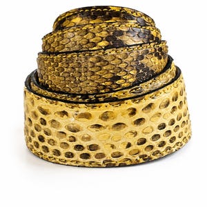 May include: A coiled belt featuring a textured snakeskin pattern in shades of metallic gold, yellow, and dark brown. The belt has a glossy finish with visible stitching along the edges, showing a repeating scale-like design throughout the surface.