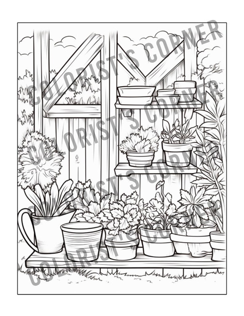 May include: A black and white line drawing of a garden scene with a wooden shelf holding potted plants. The shelf is attached to a wooden fence. There are several potted plants on the shelf and on the ground in front of the shelf. The plants are all different shapes and sizes. There is a watering can on the ground in front of the shelf.