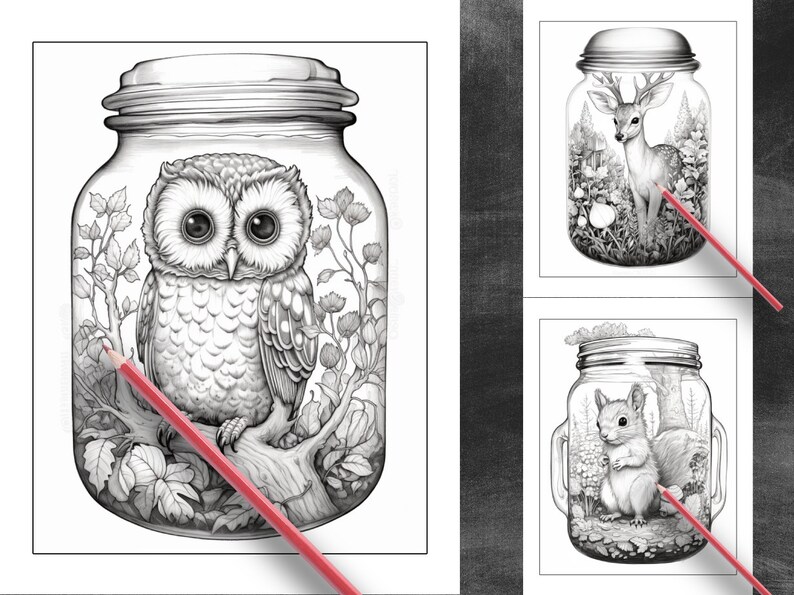 Może przedstawiać: Trzy czarno-białe ilustracje słoik&oacute;w z pokrywkami. Każdy słoik zawiera inne zwierzę: sowę, jelenia i wiewi&oacute;rkę. Zwierzęta są otoczone liśćmi i kwiatami.