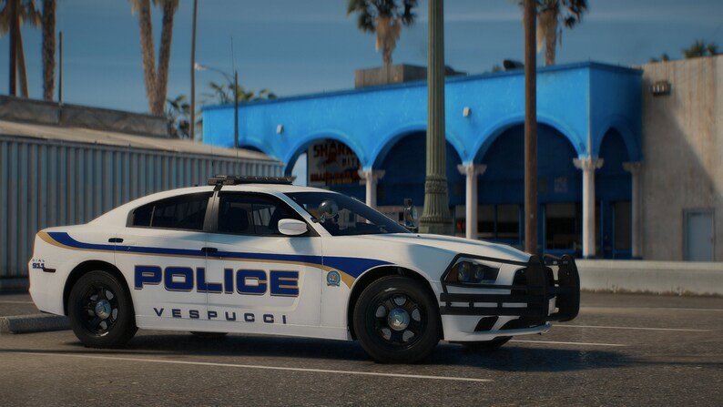 2024 Fivem Police Emergency Pack | High Quality | Valor Lightbar - Etsy