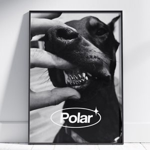 Ästhetisches Poster / Druck für Raumwandkunst, ästhetische Kunst-trendiges Plakat-Design, für Schlafzimmer oder Küche, Markenplakate [Polar-Poster]
