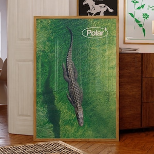 May include: A framed poster featuring a top-down view of an alligator in a green environment. The word "Polar" is in a white oval at the top. Two other framed posters are visible, one with a horse graphic and the other with green floral designs.