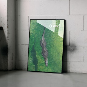 May include: A framed art print featuring a top-down view of a crocodile swimming in green water. The artwork has a black frame and the word "Polar" is visible in the upper right corner. The image is leaning against a white brick wall.