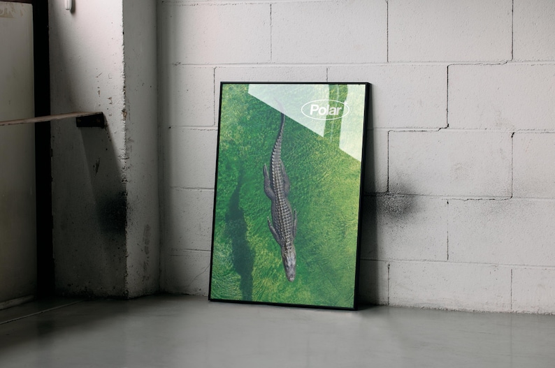 May include: A framed art print featuring a top-down view of a crocodile swimming in green water. The artwork has a black frame and the word "Polar" is visible in the upper right corner. The image is leaning against a white brick wall.
