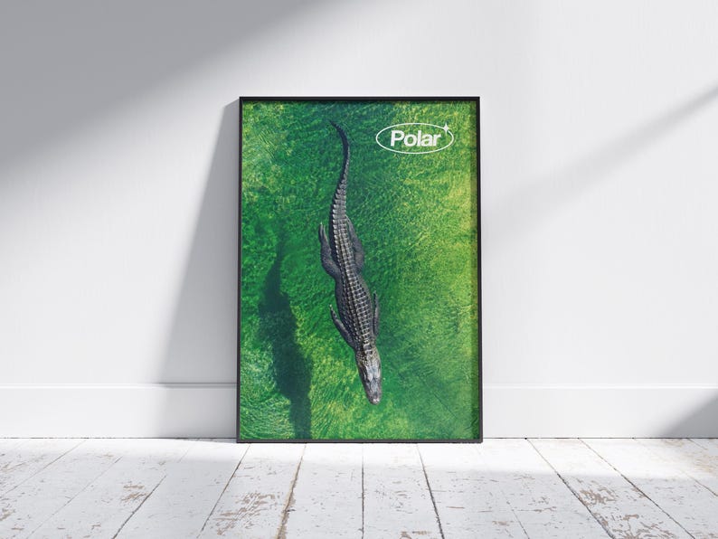 May include: Framed art print featuring a top-down view of an alligator in green water. The alligator is dark gray and has a long, slender body. The word "Polar" is in white text in the upper right corner.