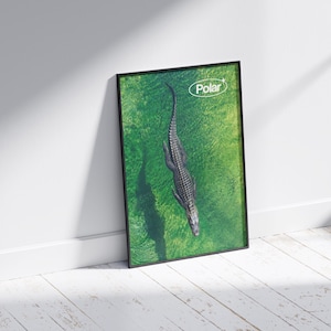 May include: Framed art print featuring an aerial view of a crocodile swimming in green water. The artwork has a black frame and the word "Polar" is in the upper right corner. The print is leaning against a white wall.