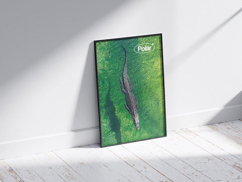 May include: Framed art print featuring an aerial view of a crocodile swimming in green water. The artwork has a black frame and the word "Polar" is in the upper right corner. The print is leaning against a white wall.