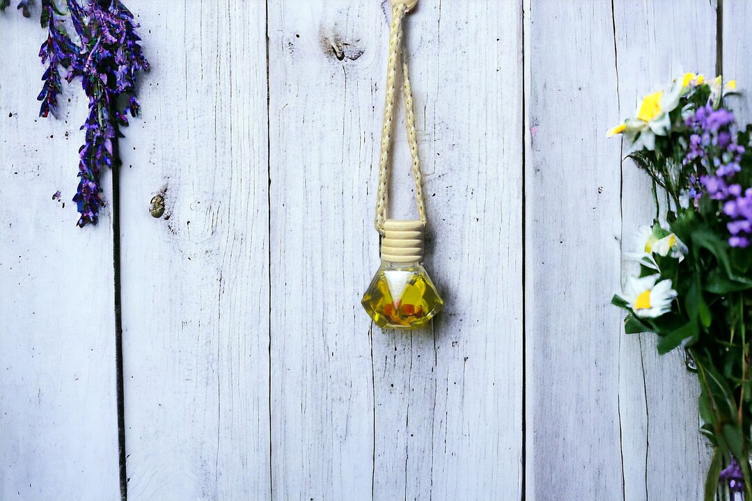 Hanging Car Diffuser L Vent Clip Car Reed Diffuser L Crystal and Herb ...