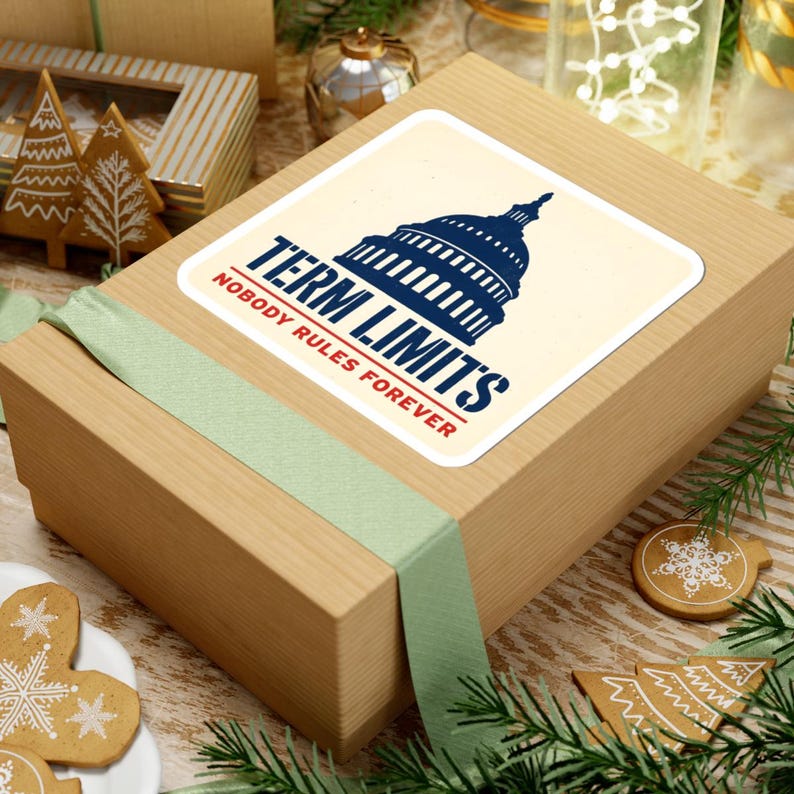 Term Limits Sticker | Capitol Dome Nobody Rules Forever Decal | Anti Incumbent Civic Gift image 9