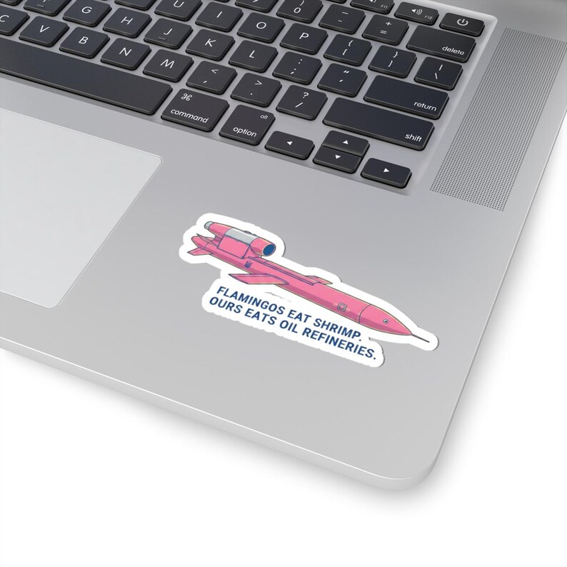Ukrainian Flamingo Missile Sticker, FP-5 Pink Cruise Missile Decal, Funny Ukraine Military Humor Sticker, Stand With Ukraine Laptop Decal image 5