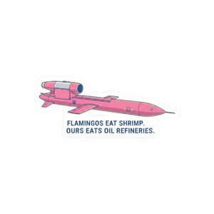 Ukrainian Flamingo Missile Sticker, FP-5 Pink Cruise Missile Decal, Funny Ukraine Military Humor Sticker, Stand With Ukraine Laptop Decal image 10
