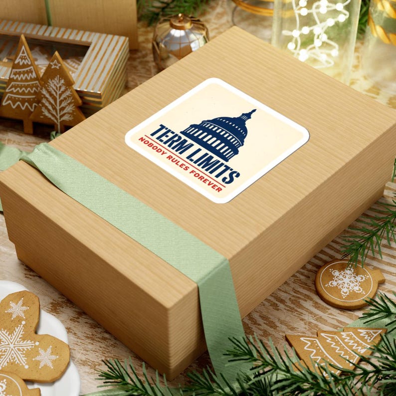 Term Limits Sticker | Capitol Dome Nobody Rules Forever Decal | Anti Incumbent Civic Gift image 6