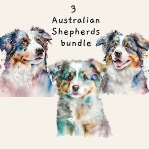 Cute Watercolor Australian Shepherd clipart bundle, watercolor art, cute dog bundle, perfect to print onto frames, mugs, shirts, and more!