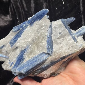 Kyanite blades in matrix