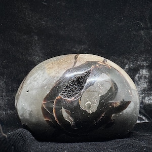 Septarian egg, aka Septarian dragon’s egg