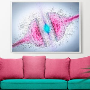 Synapses Cortical Neurons Medical, Science Canvas, Brain Nerve Cell, Science Art, Anatomy Poster, Watercolor Print Neuroscience Medical Gift