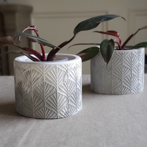 May include: Two white ceramic plant pots with a geometric leaf pattern, each containing a houseplant with red stems and green leaves.