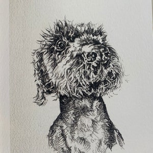 German Wirehaired Pointer Greetings Card- ‘Ralph’
