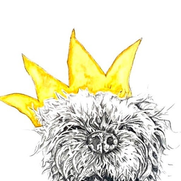 Border Terrier Greetings Card-  ‘Party Jack’