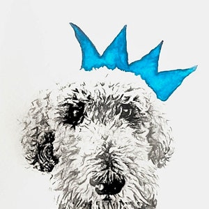 Carte de voeux Labradoodle - 'Reedus'