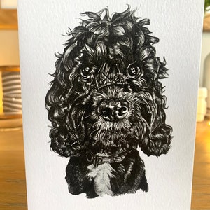 Cartolina d'auguri di Cockapoo- 'Bertie'