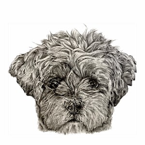 Carte de vœux Lhassa apso - « M. Tibbs »