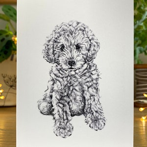 Carte de vœux pour chiot Cockapoo - « Rufus »
