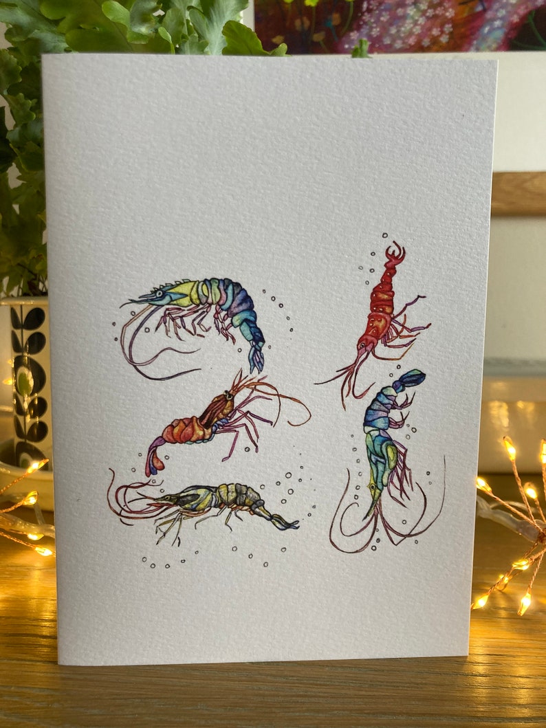 21st Birthday Card happy Birthday Shrimp - Etsy