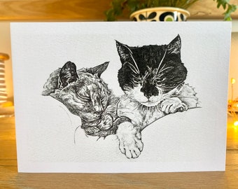 May include: A black and white drawing of two cats cuddling. The cat in the foreground is a black and white cat with its paws tucked under its chin. The cat in the background is a gray cat with its head resting on the other cat's back.