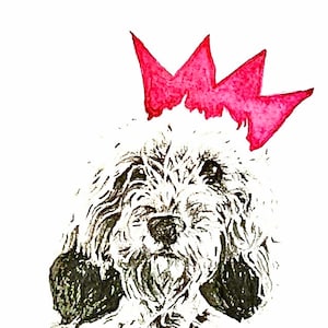 Petit Basset Griffon Vendéen Greetings Card - ‘Teazel’