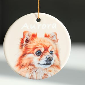 Personalisierte Haustier Foto Ornament: Benutzerdefinierte Hund Katze Gedenkandenken