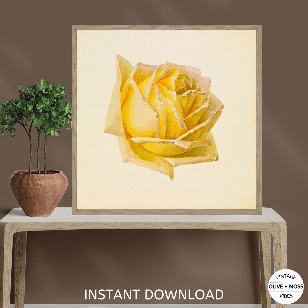 Antique Watercolor Painting Yellow Rose Wall Art Botanical Etsy