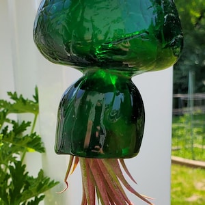 Hand Blown Glass Hanging Air Plant Holder