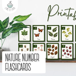 Nature Number Cards - Printable 1-10