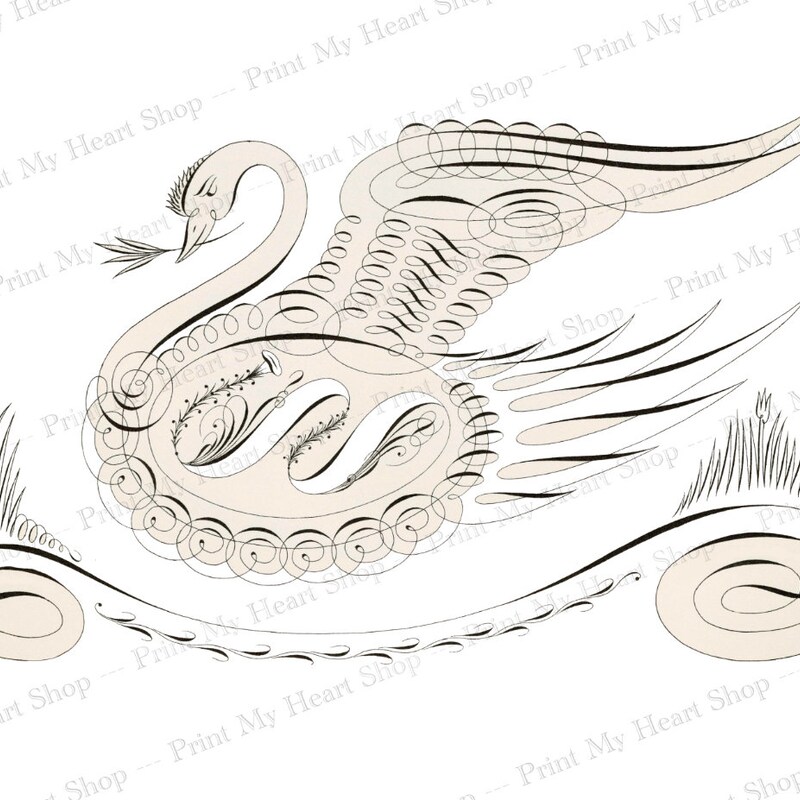 Swan Ink Drawing Swan Ink Drawing - Etsy