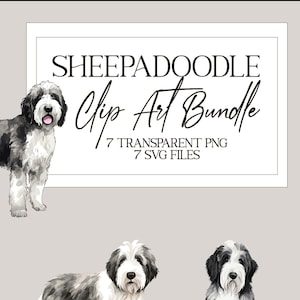 Sheepadoodle Clip Art Bundle - w tym szczeniak! 7 obrazów uroczych psów w przezroczystym PNG i SVG do natychmiastowego pobrania. Użytek komercyjny OK