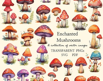 Enchanted Mushroom Vector Clip Art Collection - Boho whimsical transparent PNG SVG PDF Nature Art 30 images (61 files) Commercial use ok