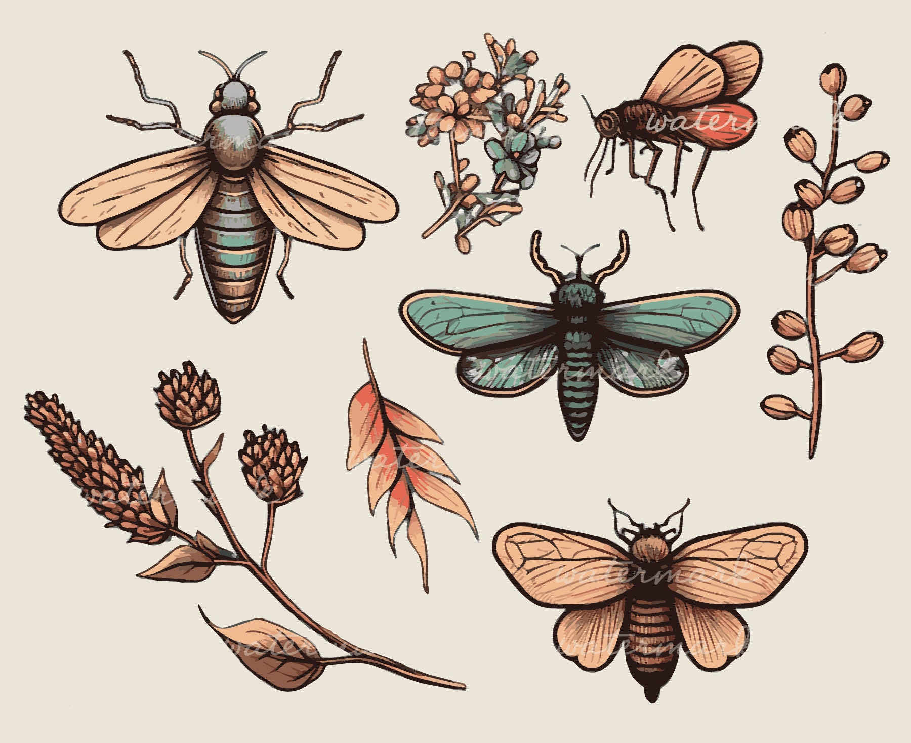 Boho Insects Boho Insect Clip Art: Whimsical Bug PNG SVG PDF Collection - Etsy