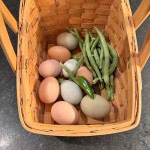 Une douzaine d'oeufs de poule non classés