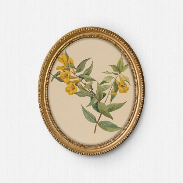 Oval art print, Vintage flower painting, Round floral art print