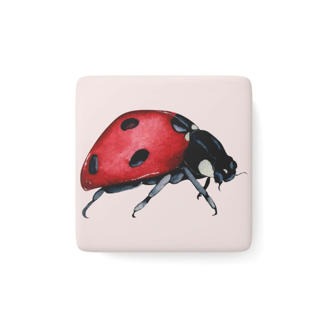 Ladybug Magnets, Nature Magnets, Gifts for Gardeners, Gardener Decor ...