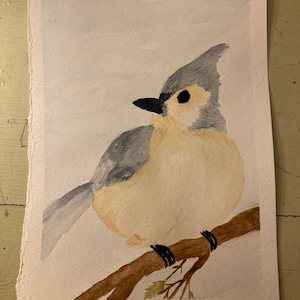 Tufted Titmouse, watercolor, painting