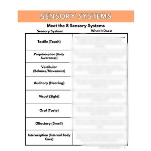 May include: A diagram titled "Sensory Systems" detailing the eight sensory systems: Tactile, Proprioception, Vestibular, Auditory, Visual, Oral, Olfactory, and Interoception. The chart is on a white background.